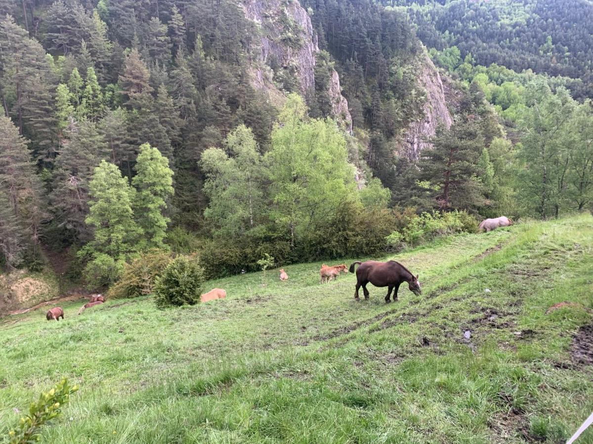Апартаменты Siscaro - Peu Del Riu 310 - Vall D'Incles - Soldeu Экстерьер фото