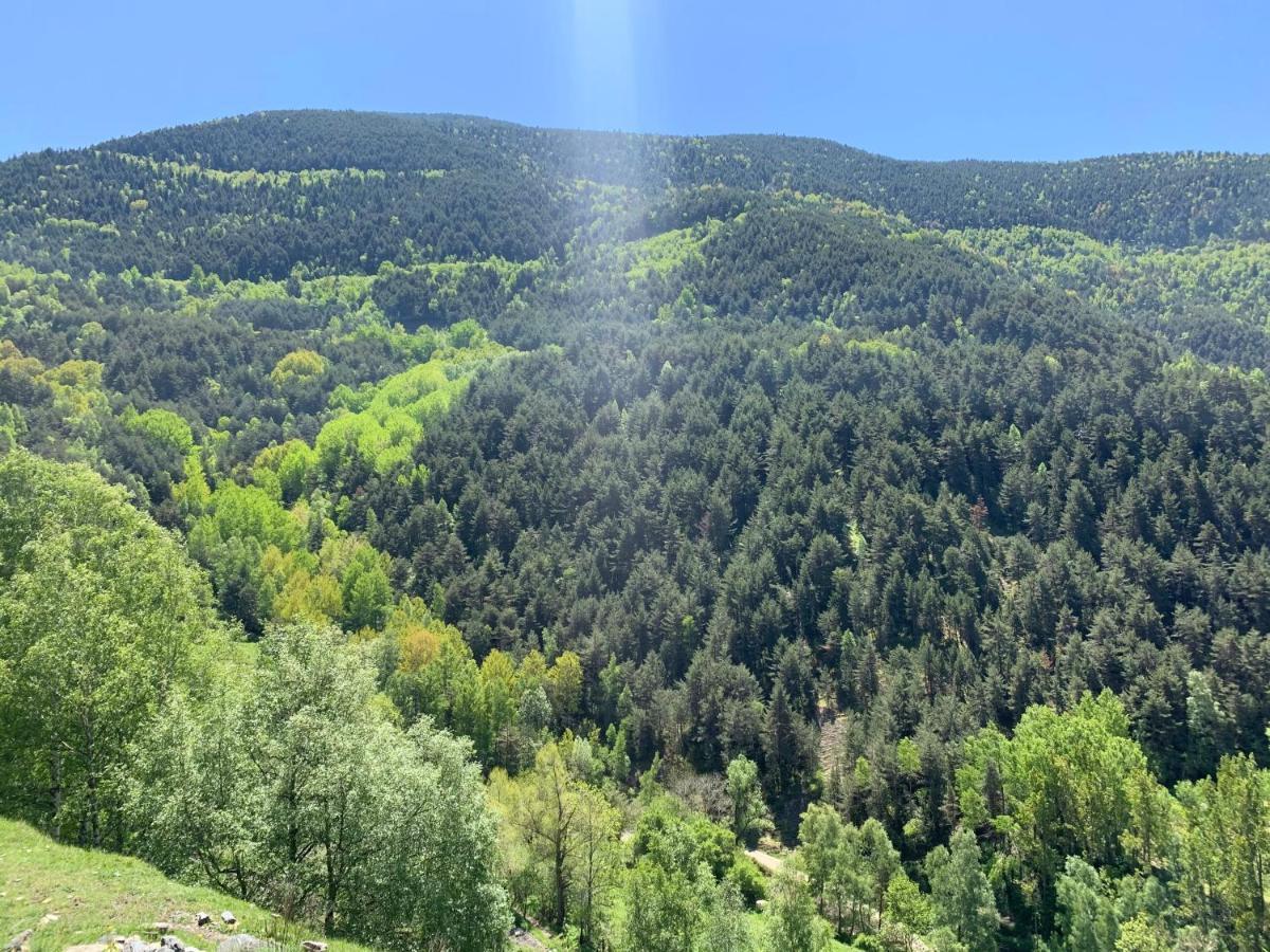Апартаменты Siscaro - Peu Del Riu 310 - Vall D'Incles - Soldeu Экстерьер фото